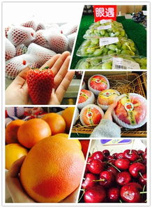 大河网眼遇美食品鉴团走进果漫水果工厂 感受触手可及的新鲜